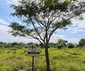 VTA-TER-005, Lote en Esquina en Mariano I. Loza
